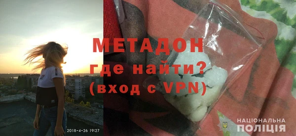прущие грибы Лабытнанги