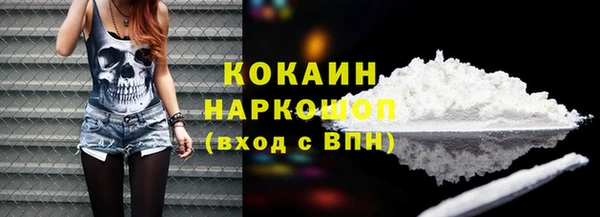 мдпв Ладушкин