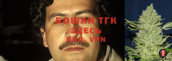 мдпв Ладушкин