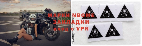прущие грибы Лабытнанги