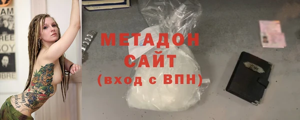 прущие грибы Лабытнанги