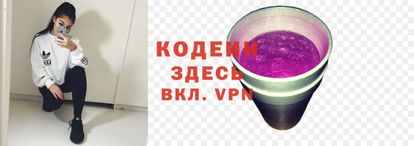 прущие грибы Лабытнанги
