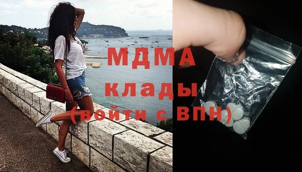 прущие грибы Лабытнанги