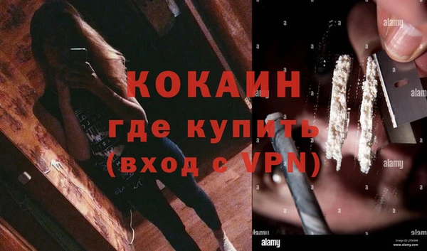 стаф Братск