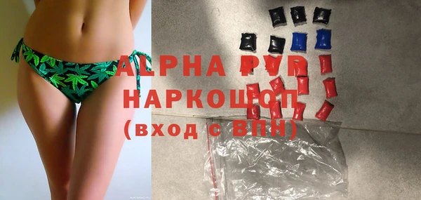 прущие грибы Лабытнанги